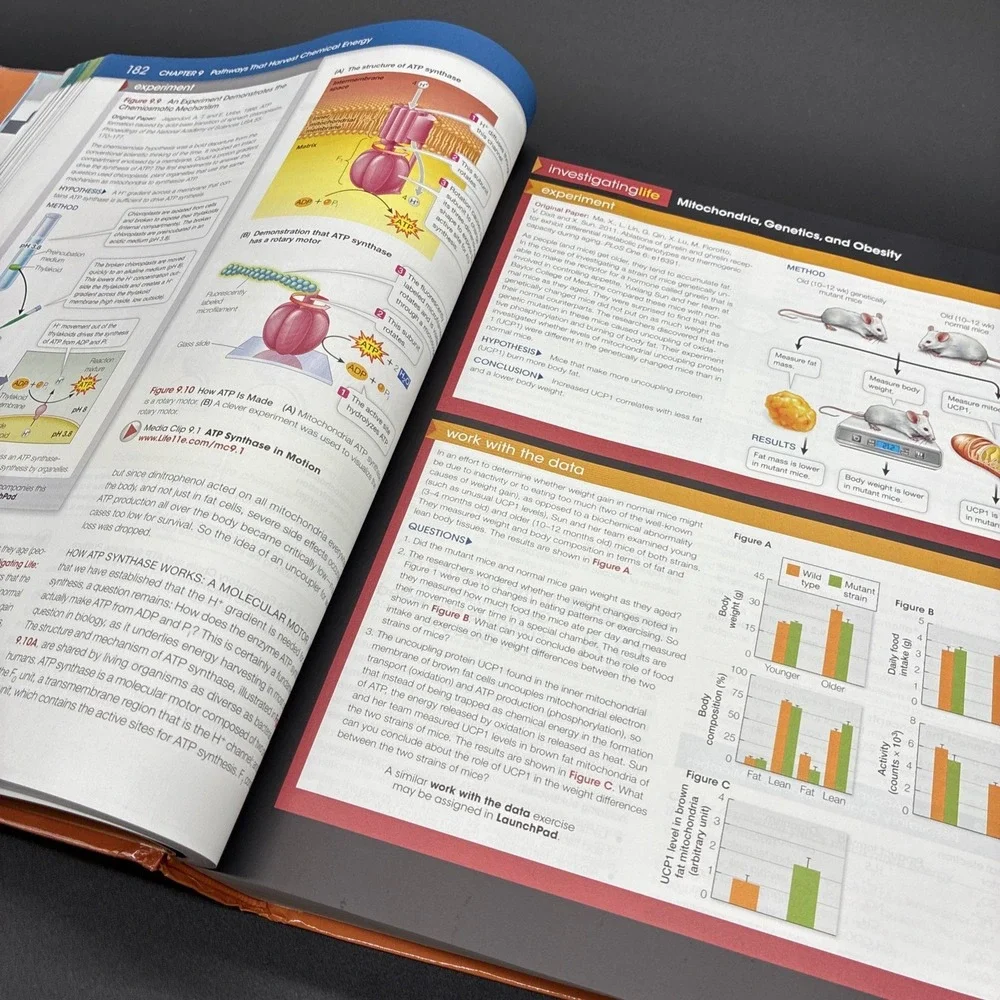 Life The Science of Biology Sally D. Hacker David Sadava David M. Hillis Book